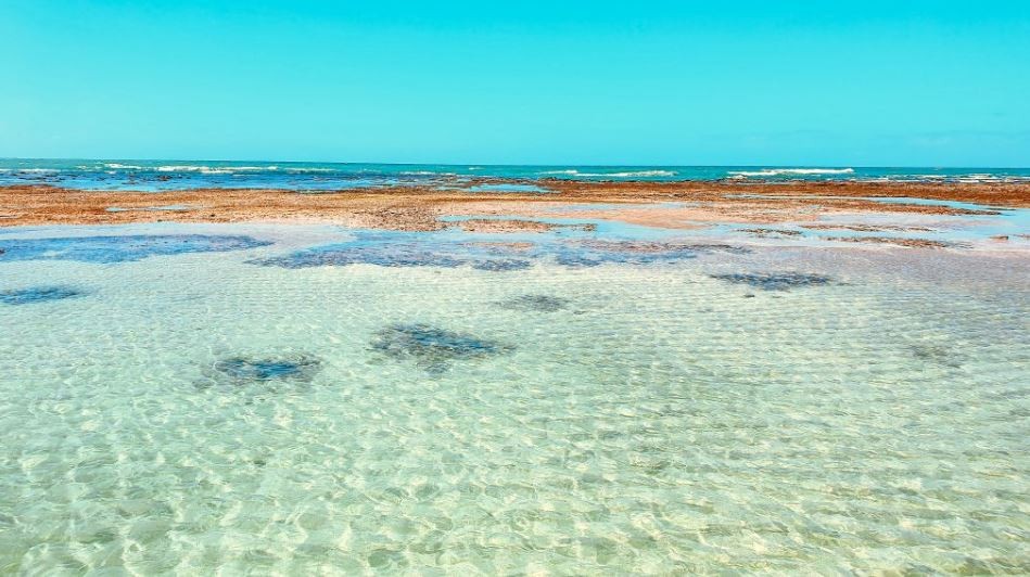 Pacote Flexível: 3 passeios a escolher