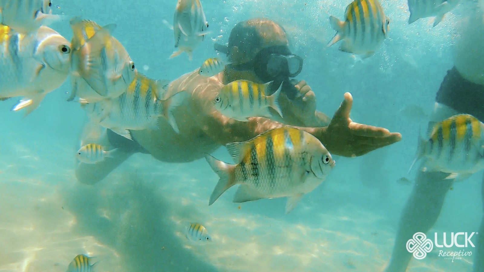 COMBO PARAÍBA SIM SINHÔ