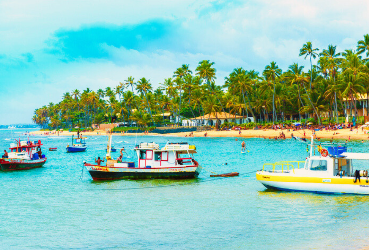 Traslado de chegada e saída + Passeio na Praia do Forte