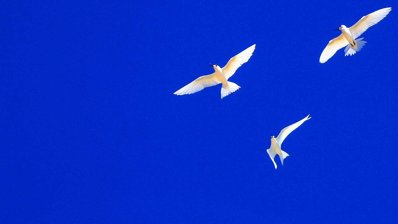 Trilha Costa Esmeralda 