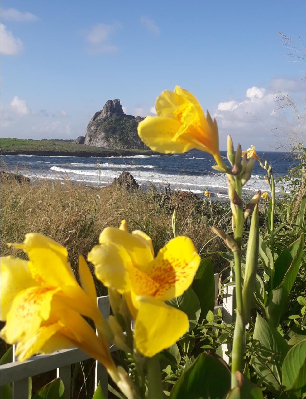 Trilha Morro São José