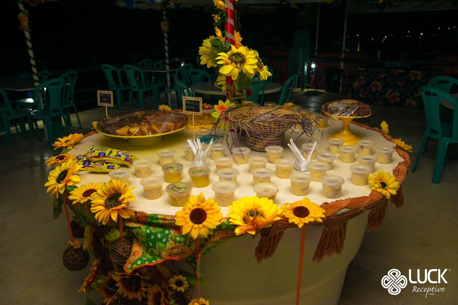 Passeio no Catamarã do Forró - apenas ingresso