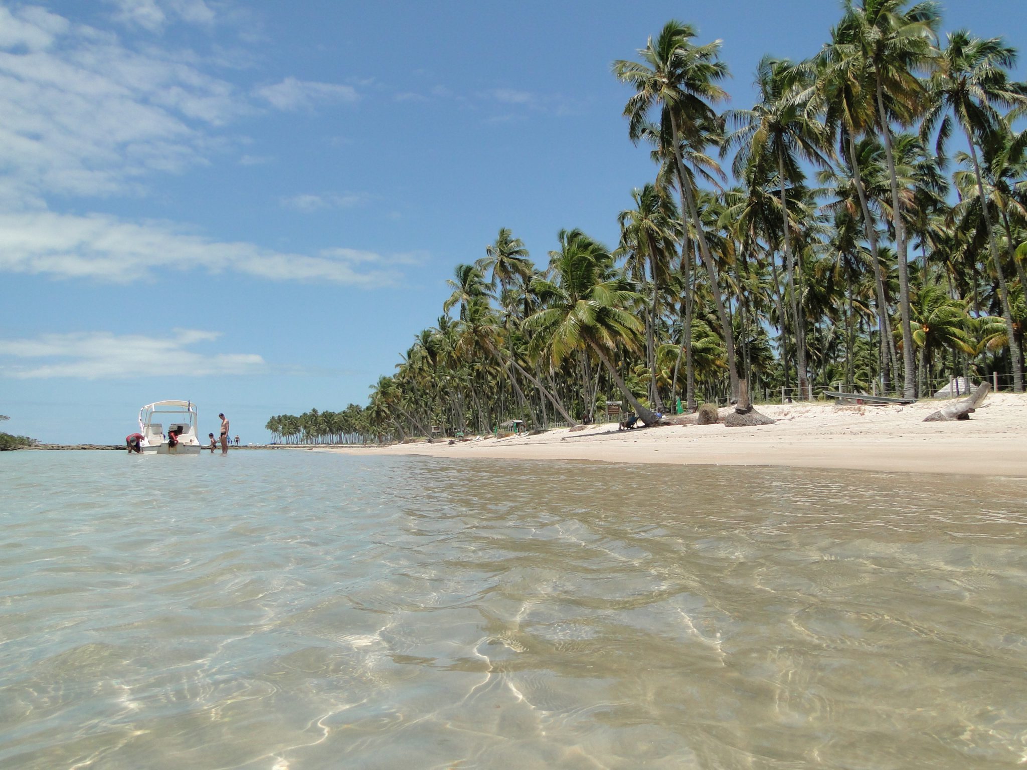 Capa do post Passeio à Praia dos Carneiros com saída de Porto de Galinhas