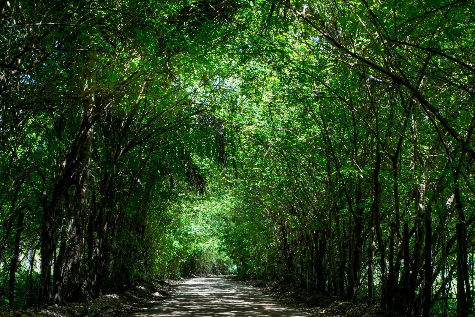 São Miguel dos Milagres