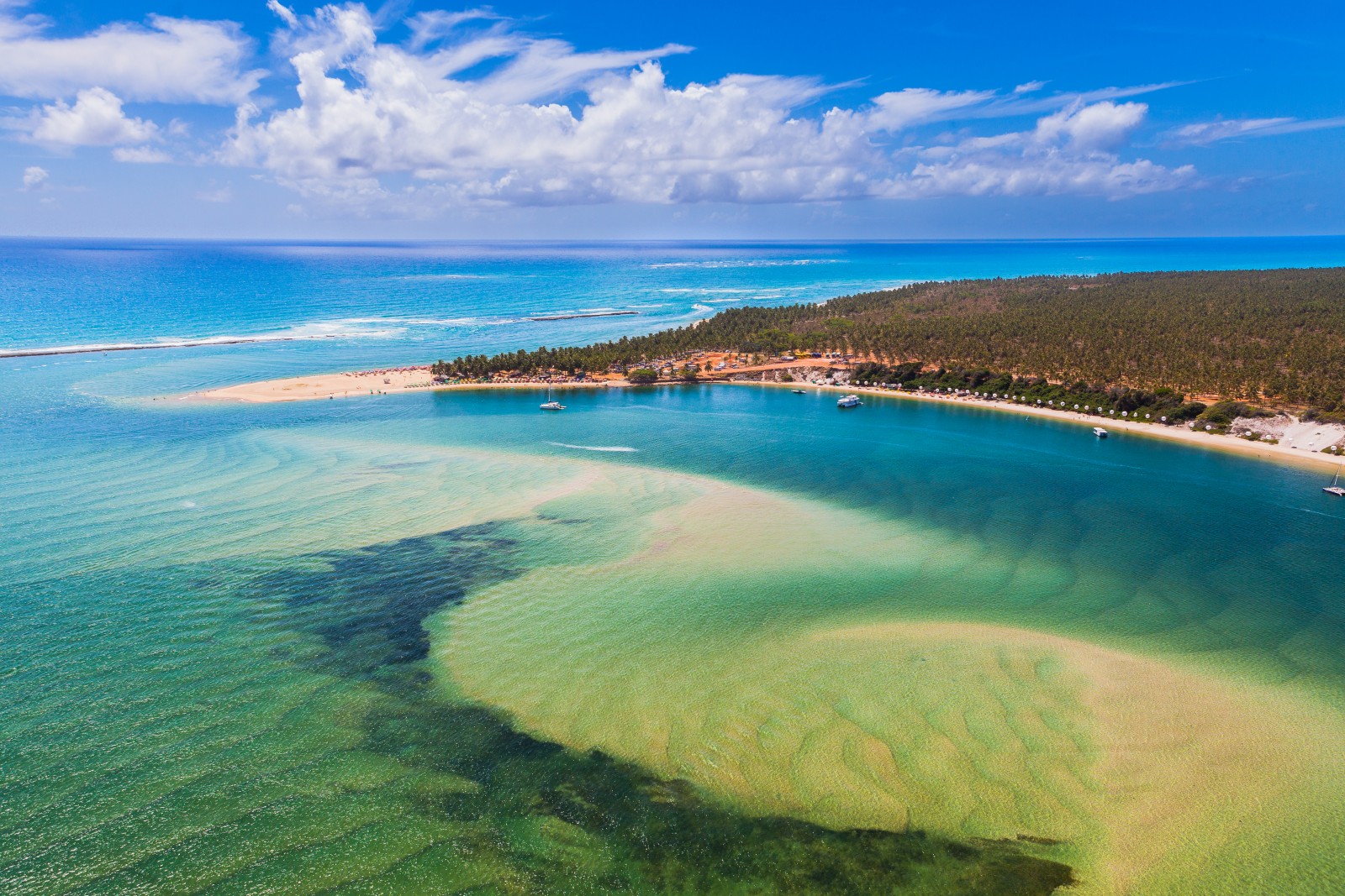 Capa do post Onde fica a Praia do Gunga e o que fazer nesse paraíso de Alagoas