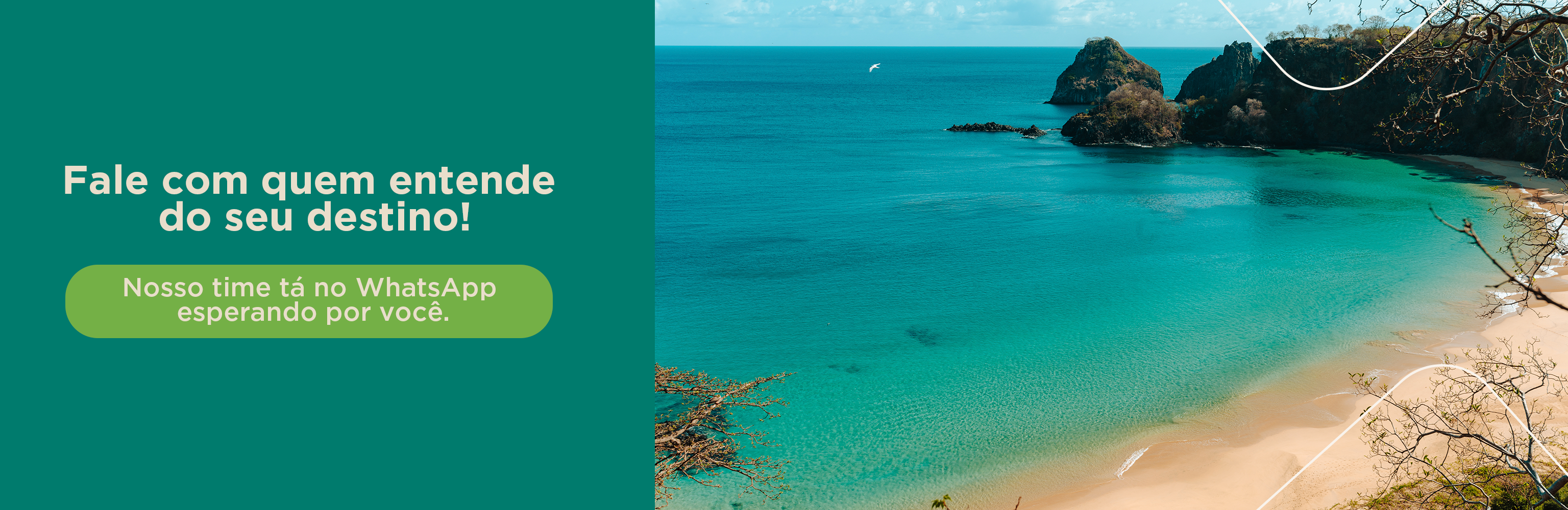 Banner promocional 6