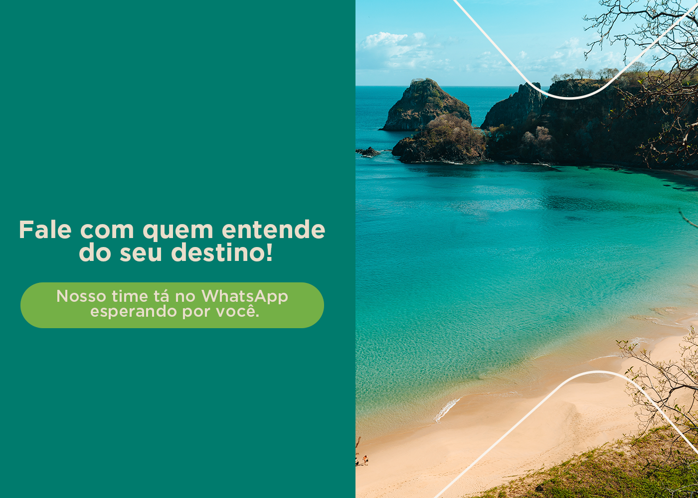 Banner promocional 11