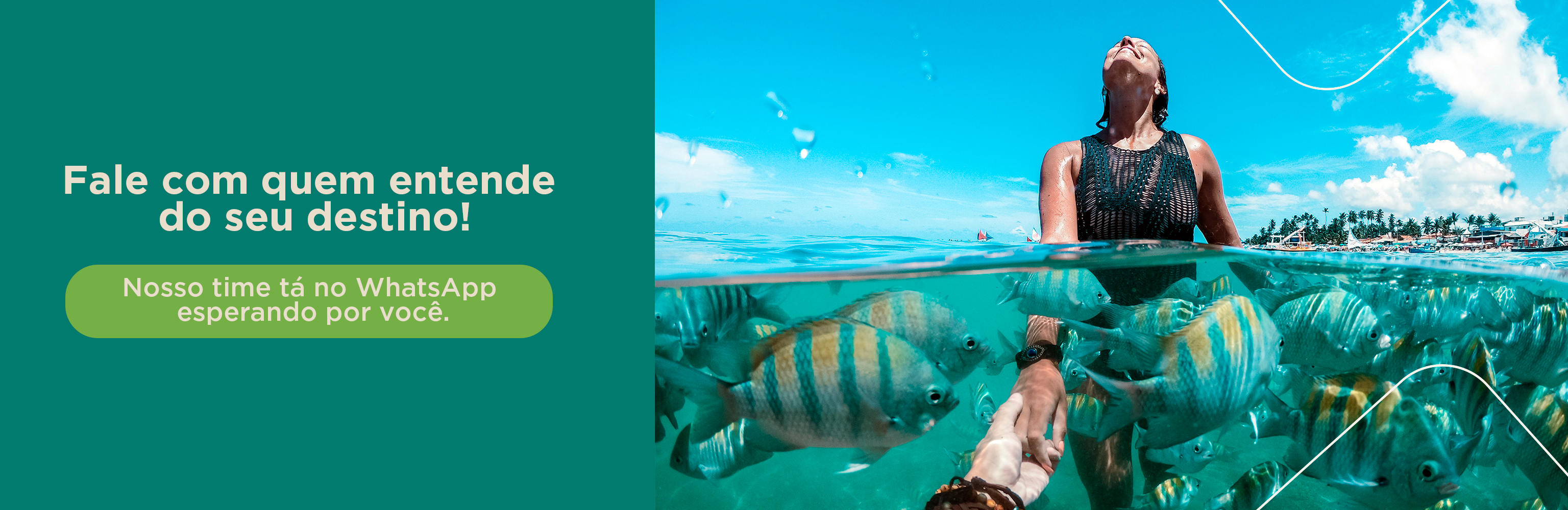 Banner promocional 5