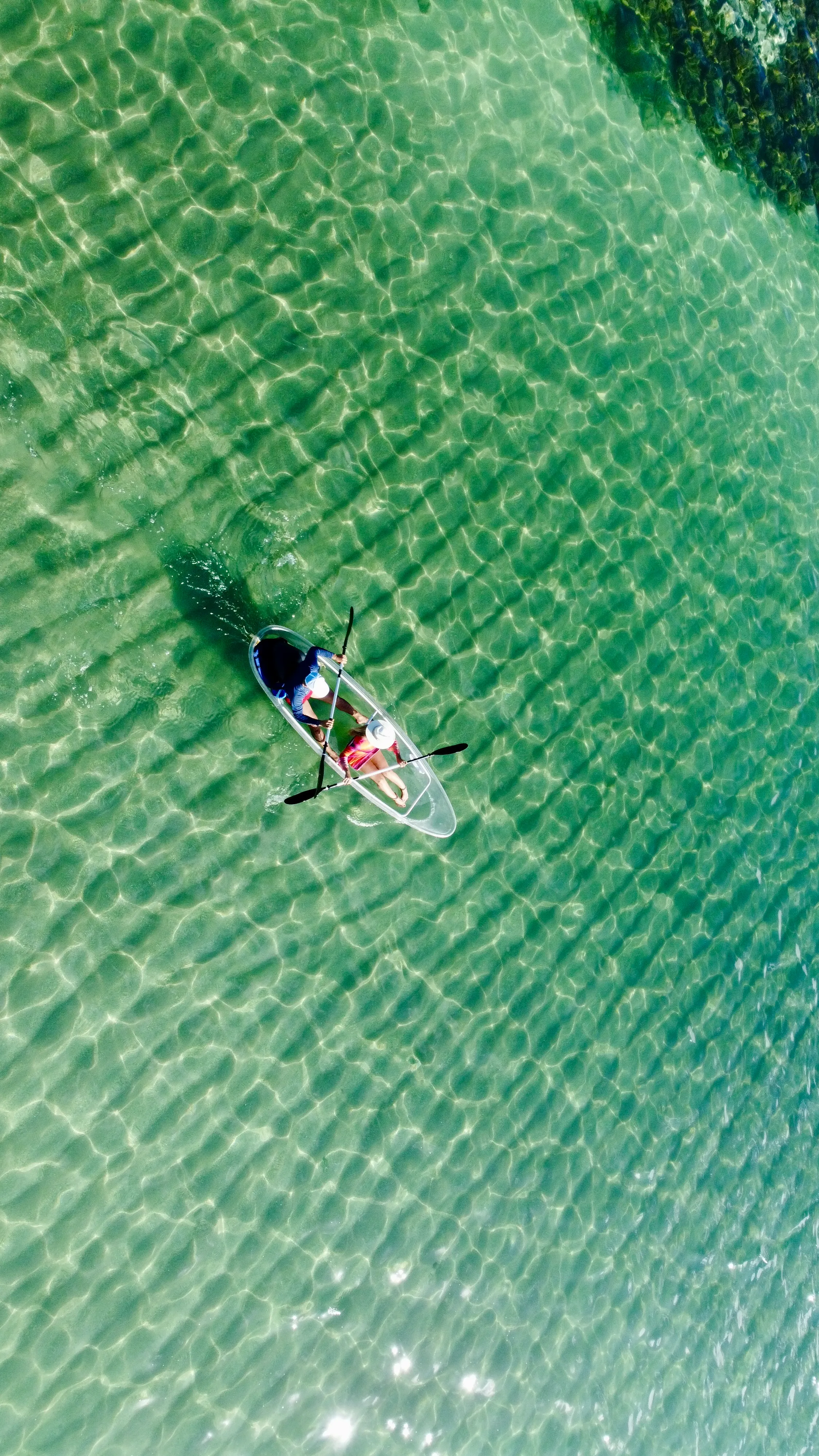 Remada Transparente — Veja o fundo do mar sem mergulhar.