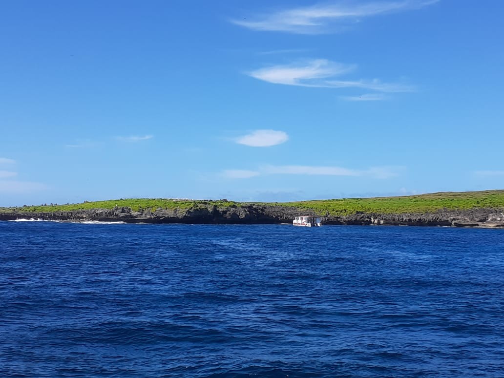 Acompanhante de Mergulho