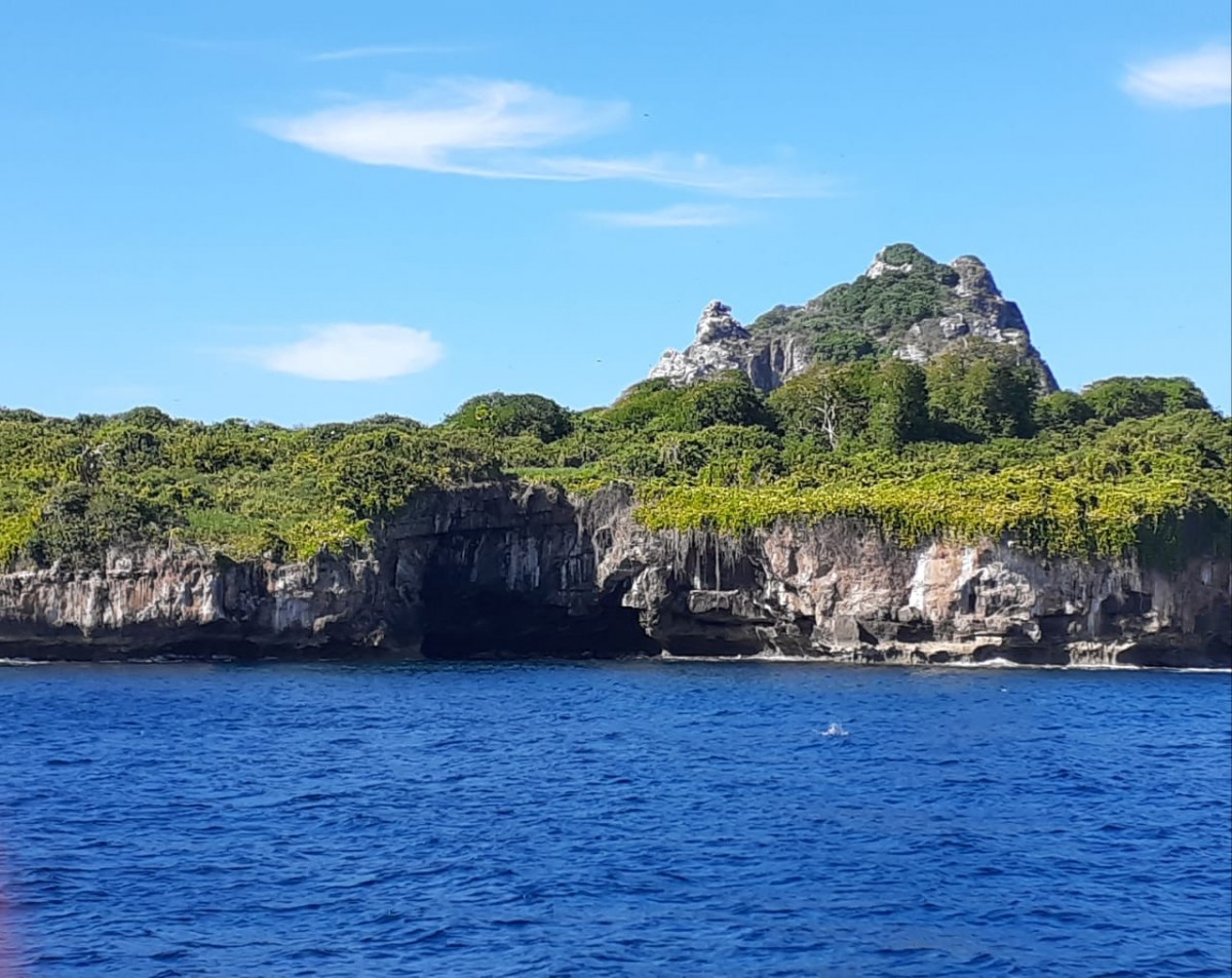 Acompanhante de Mergulho