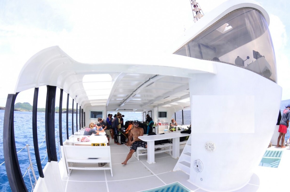 Acompanhante de Mergulho