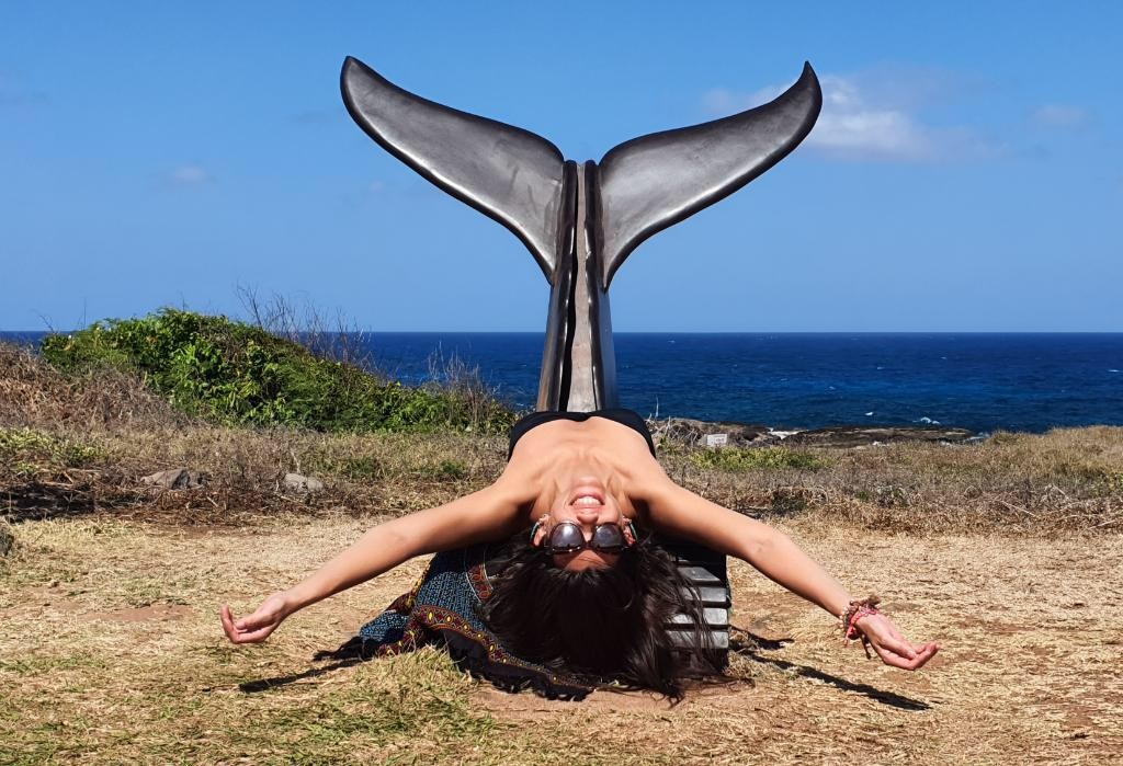 Ilha tour | PRIVATIVO