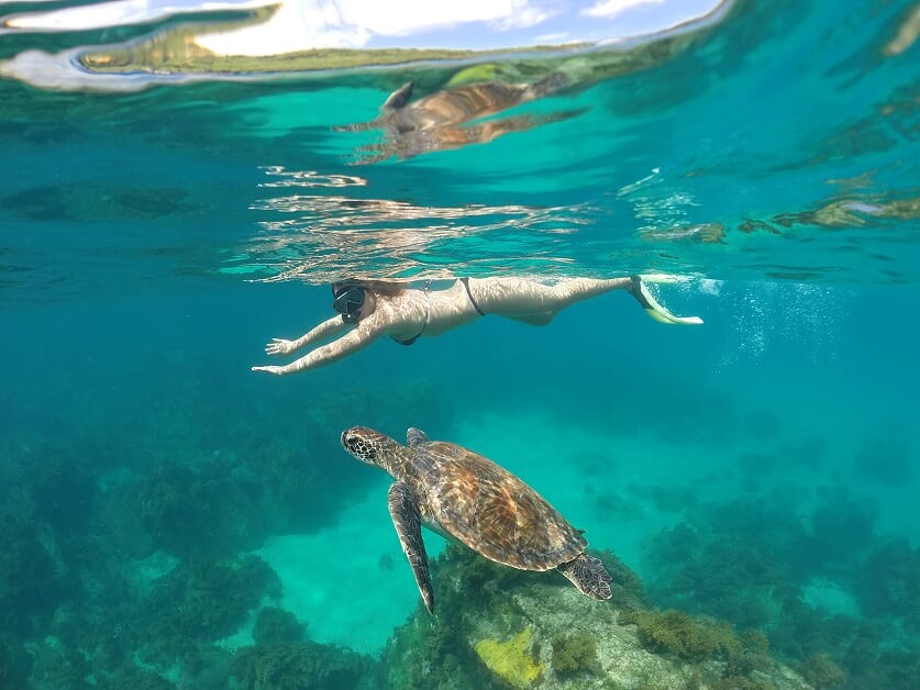 Ilha tour | PRIVATIVO