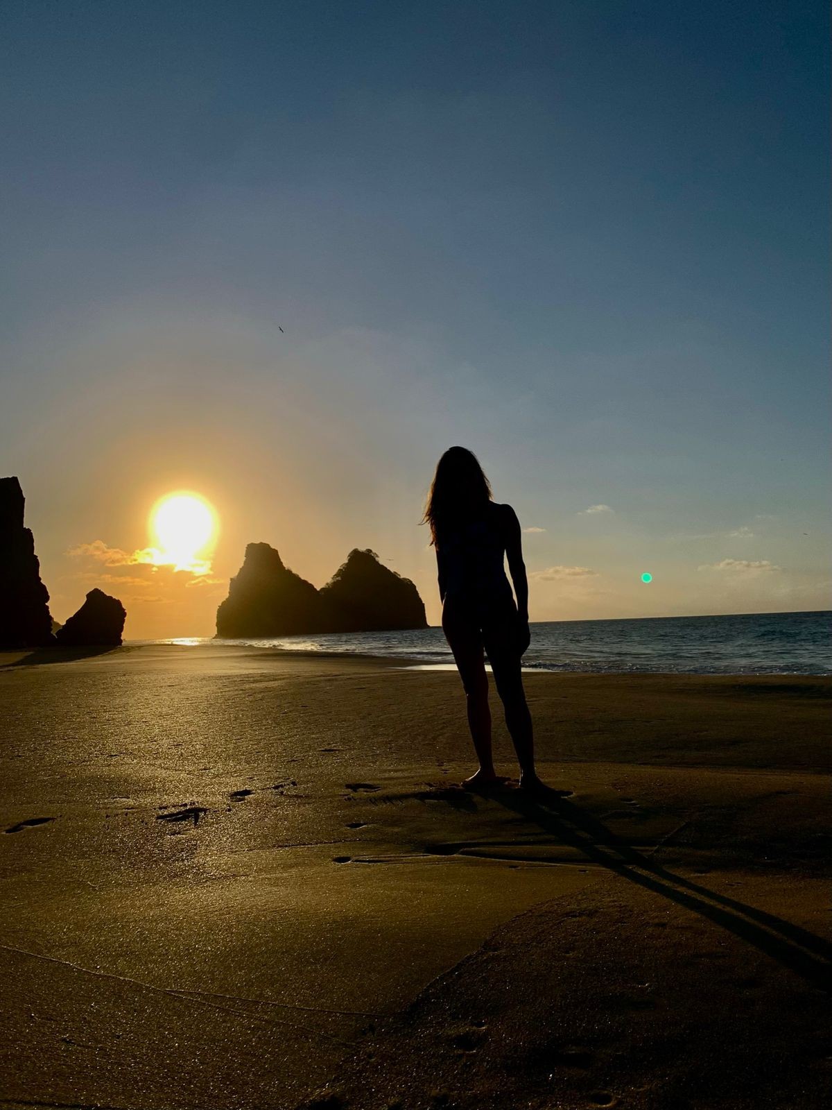 Ilha tour | PRIVATIVO