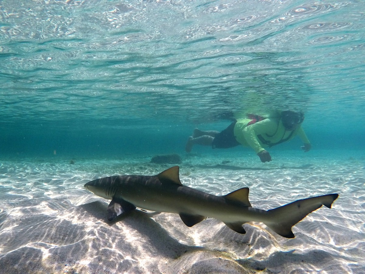 Trilha Atalaia Pontinha Caieiras