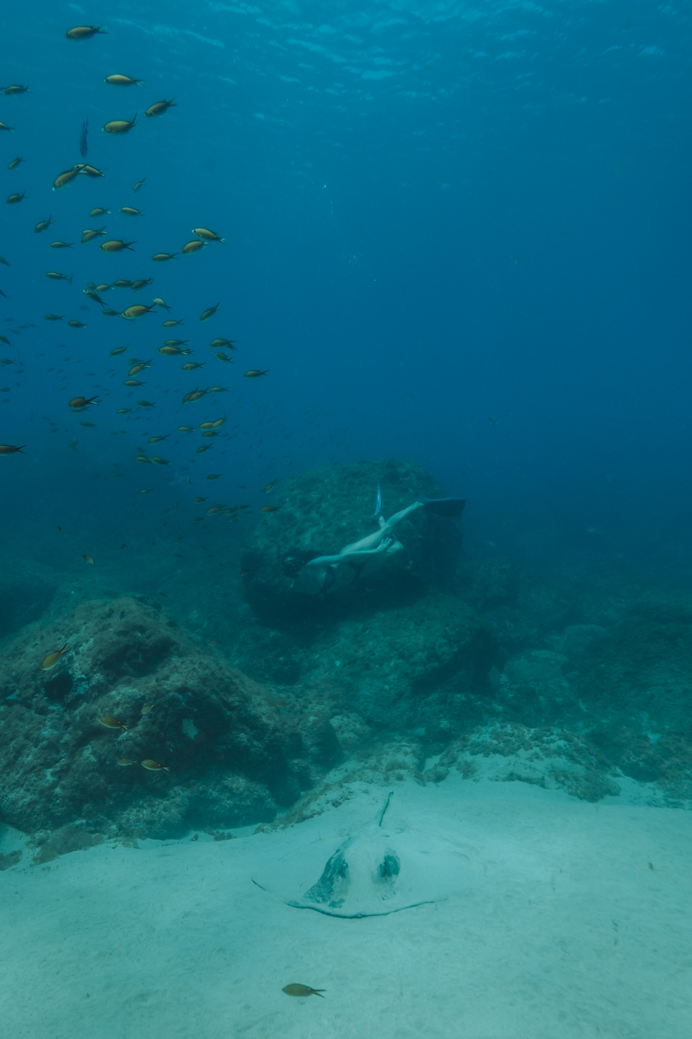 Mergulho Livre (Trilha Aquática)