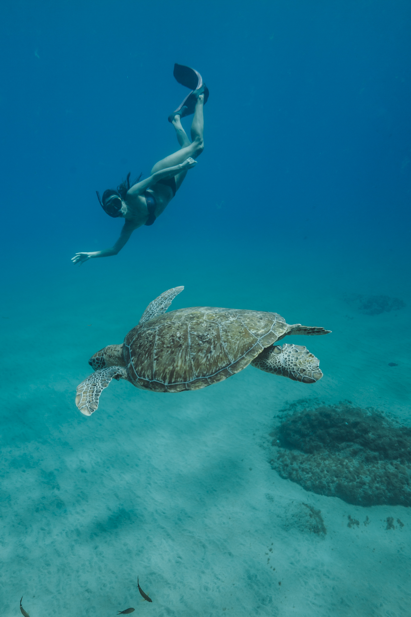Mergulho Livre (Trilha Aquática)