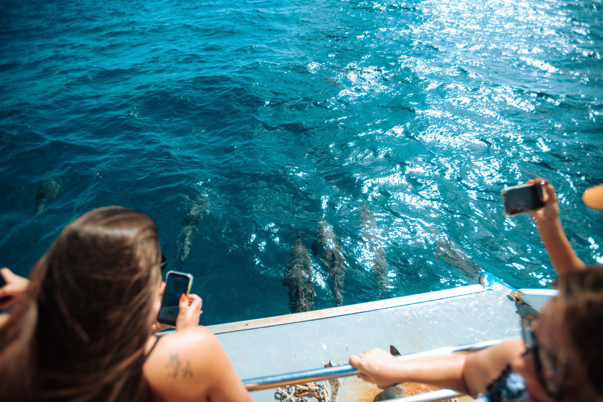 Passeio de Barco à tarde | PRIVATIVO