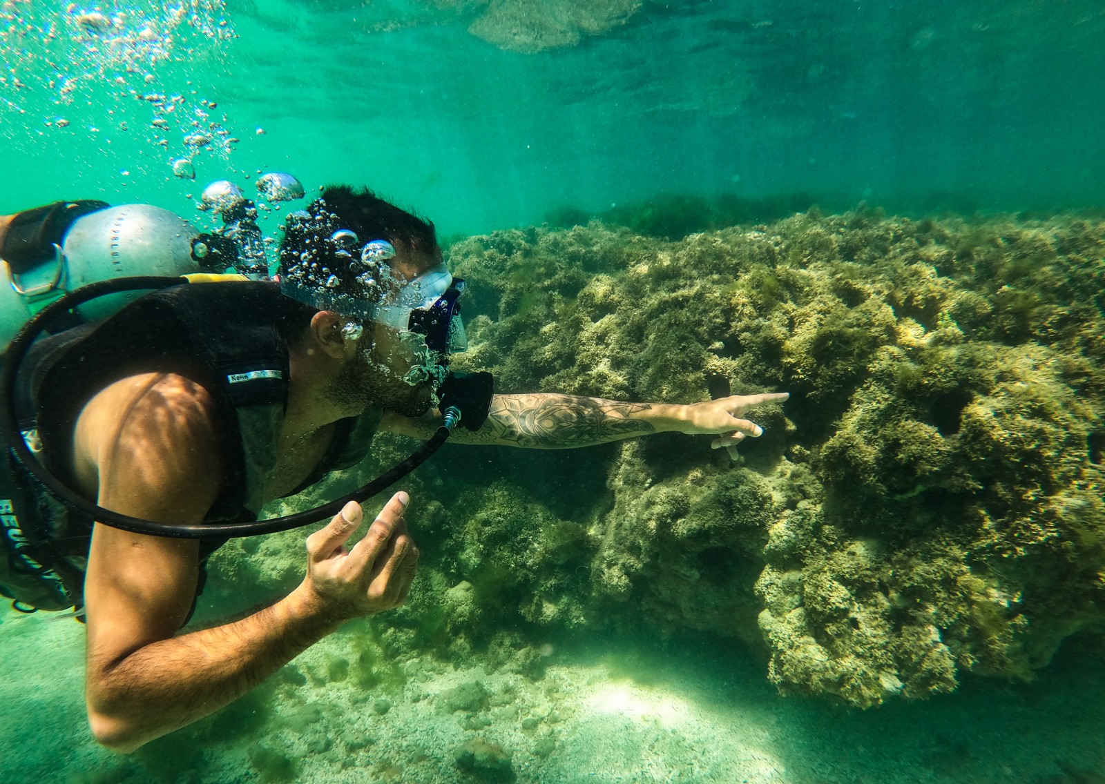 Pacote Flexível: 2 passeios a escolher