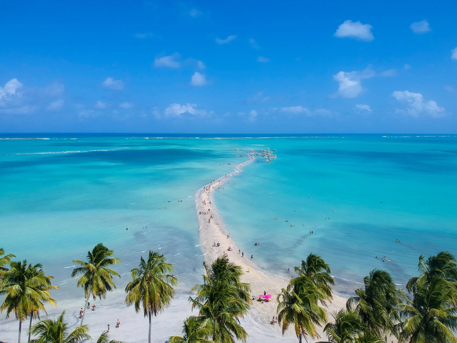 Capa do post Melhores praias de Maceió para conhecer em 2025