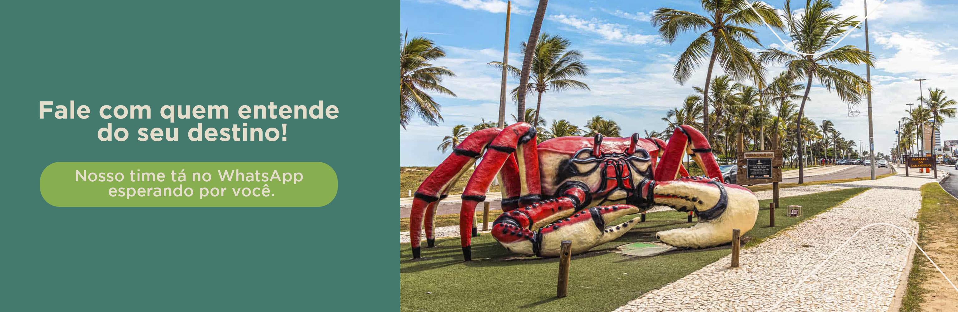 Banner promocional 4