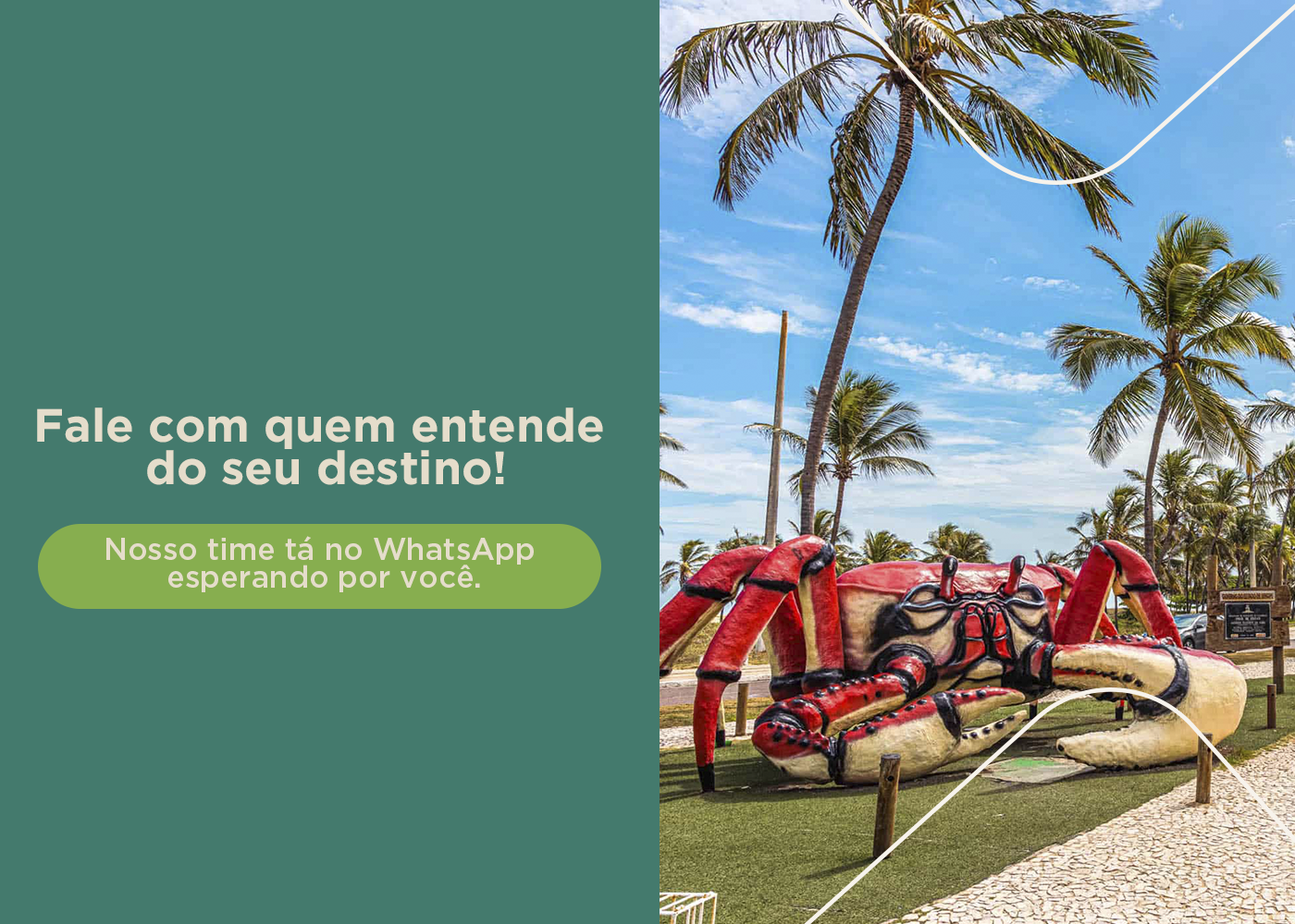 Banner promocional 8