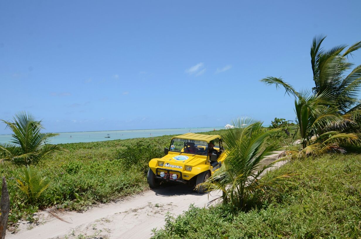 Passeio de Buggy Privativo em Maragogi - Litoral Norte