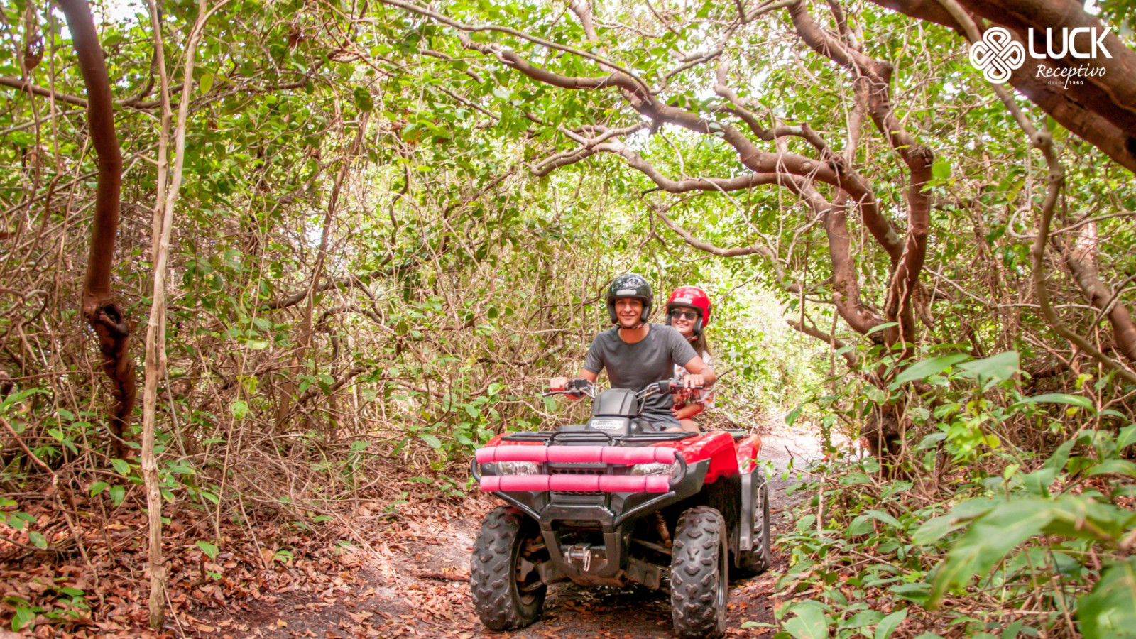 Pacote Flexível: Traslado Chegada e saída + 3 passeios a escolher