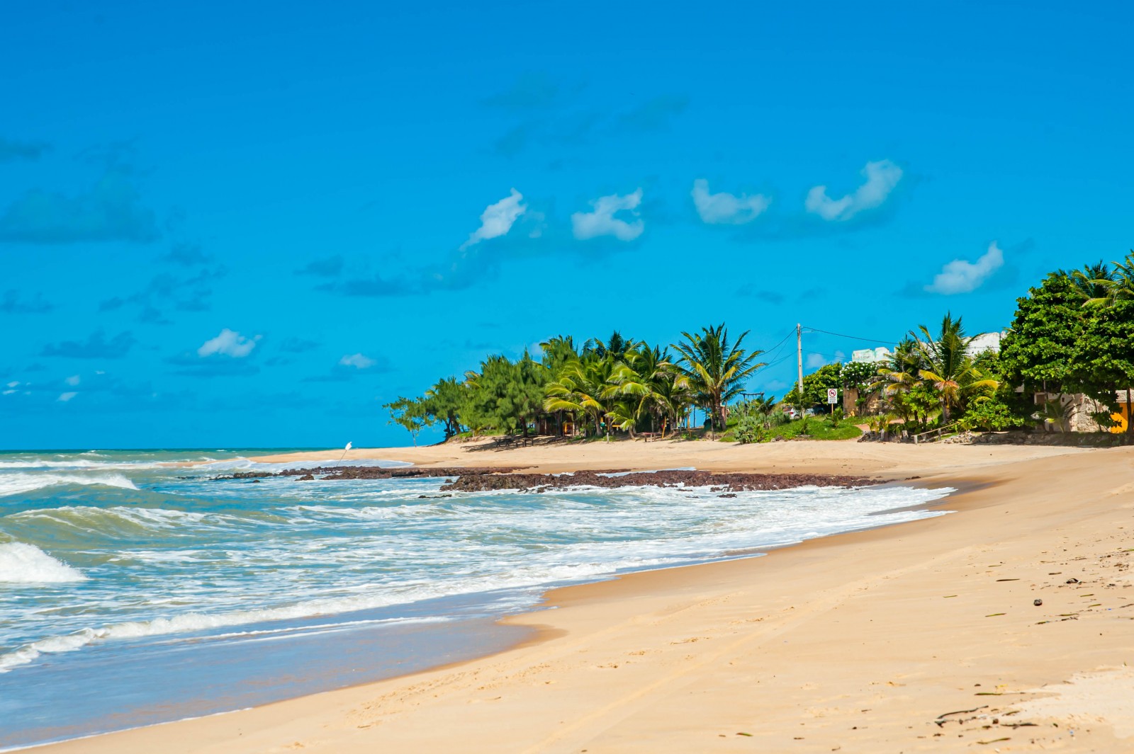 Pacote Flexível: Traslado Chegada e saída + 3 passeios a escolher