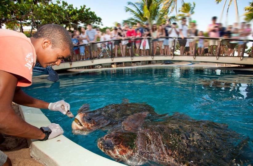 Pacote Flexível: Traslado Chegada e saída + 1 passeio a escolher