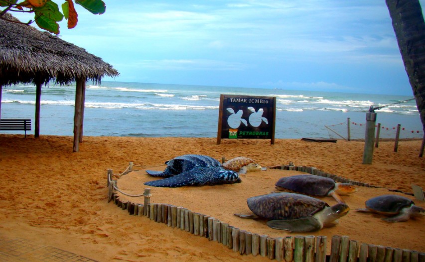 Pacote Flexível: Traslado Chegada e saída + 1 passeio a escolher