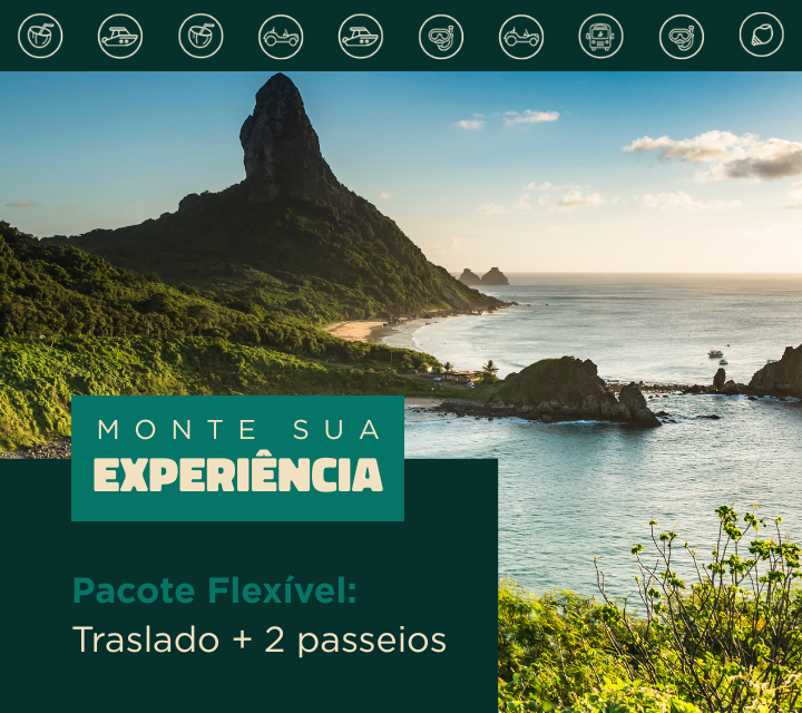 Pacote Flexível: Traslado Chegada e saída + 2 passeios a escolher