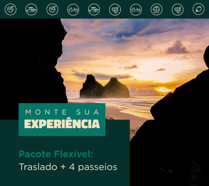 Pacote Flexível: Traslado Chegada e saída + 4 passeios a escolher