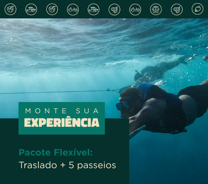 Pacote Flexível: Traslado Chegada e saída + 5 passeios a escolher