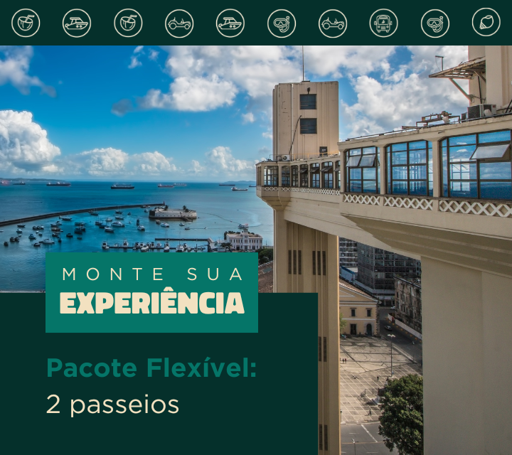 Pacote Flexível: 2 passeios a escolher