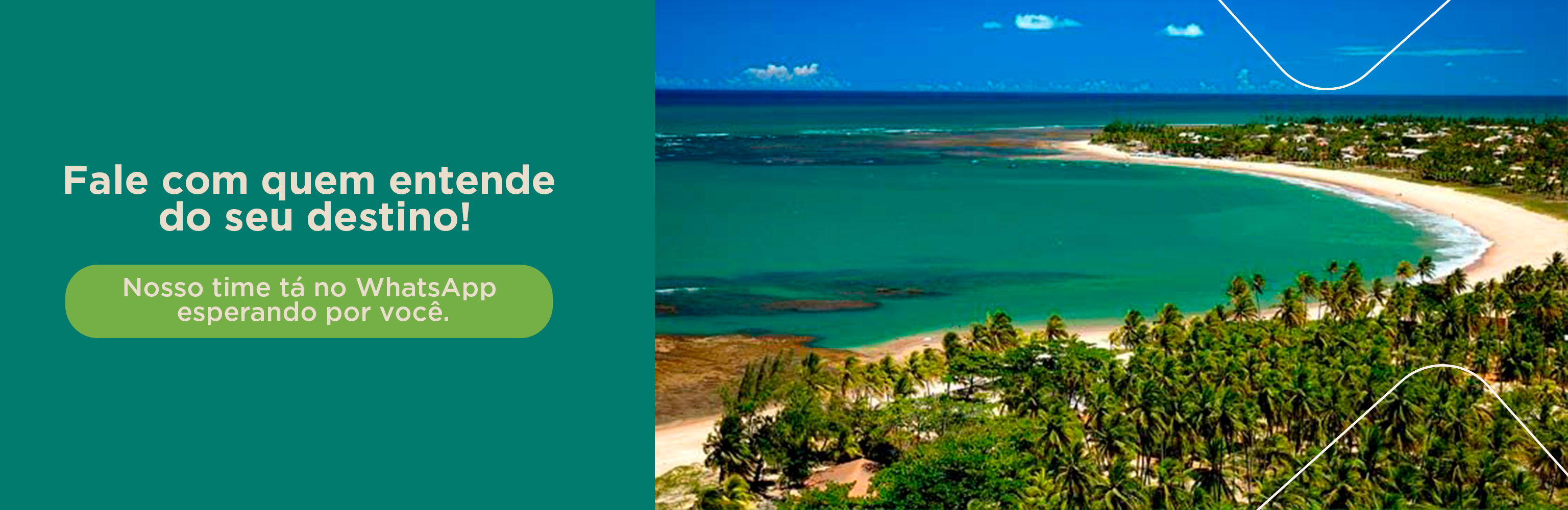 Banner promocional 5