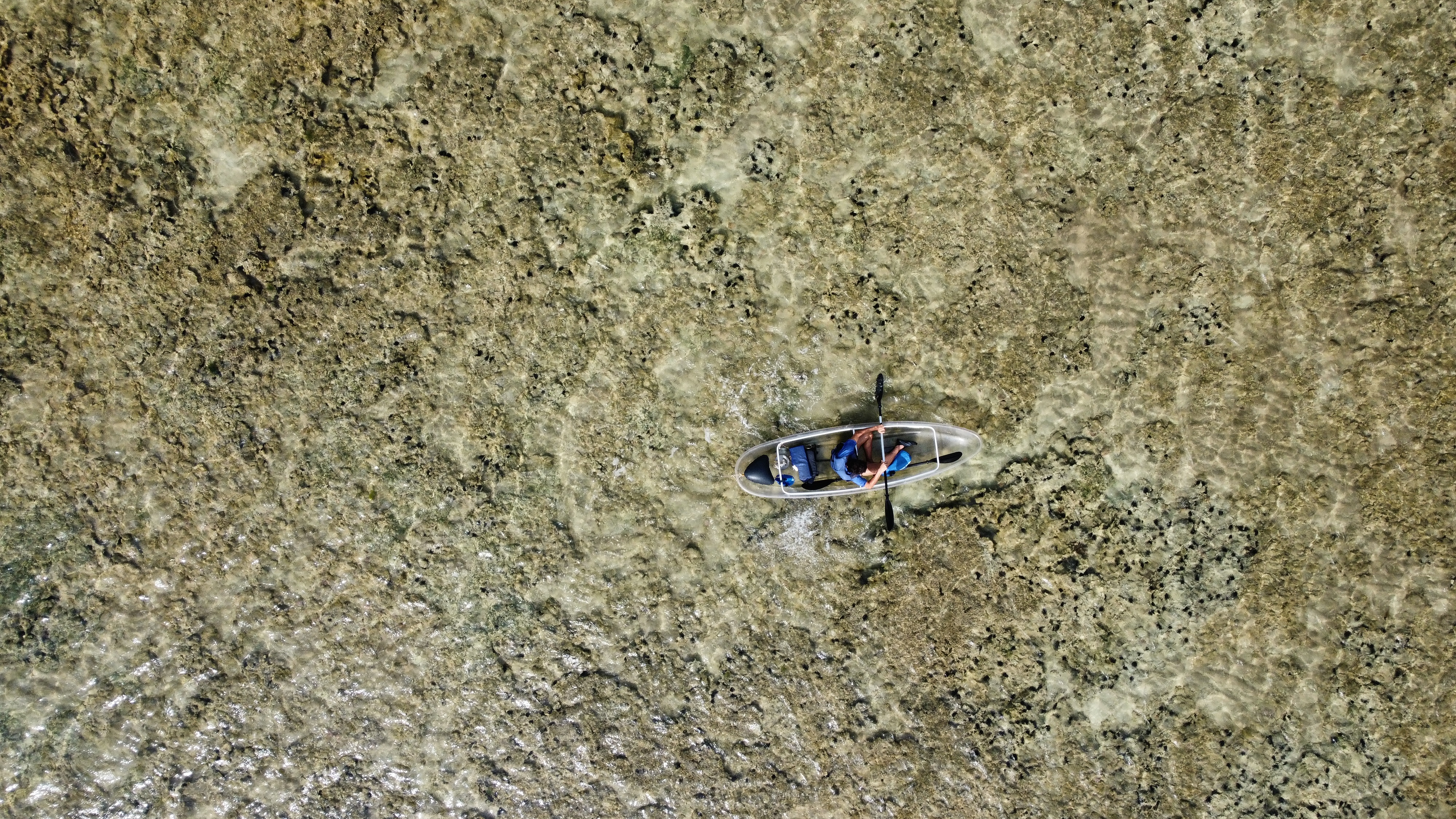 Remada Transparente em São Miguel dos Milagres
