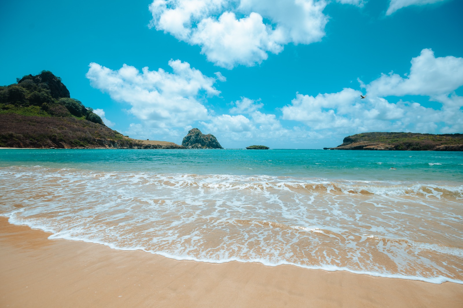 Capa do post Black Friday viagem: Nordeste é o destino? Garanta passeios com até 50% OFF