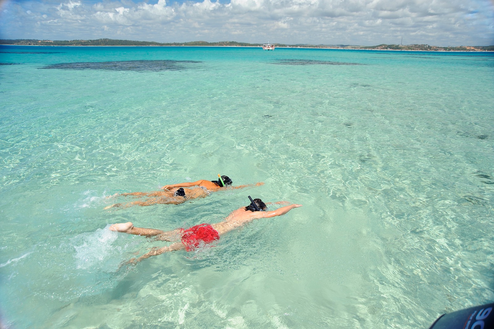 Capa do post Cupom desconto: como garantir até 50% de desconto