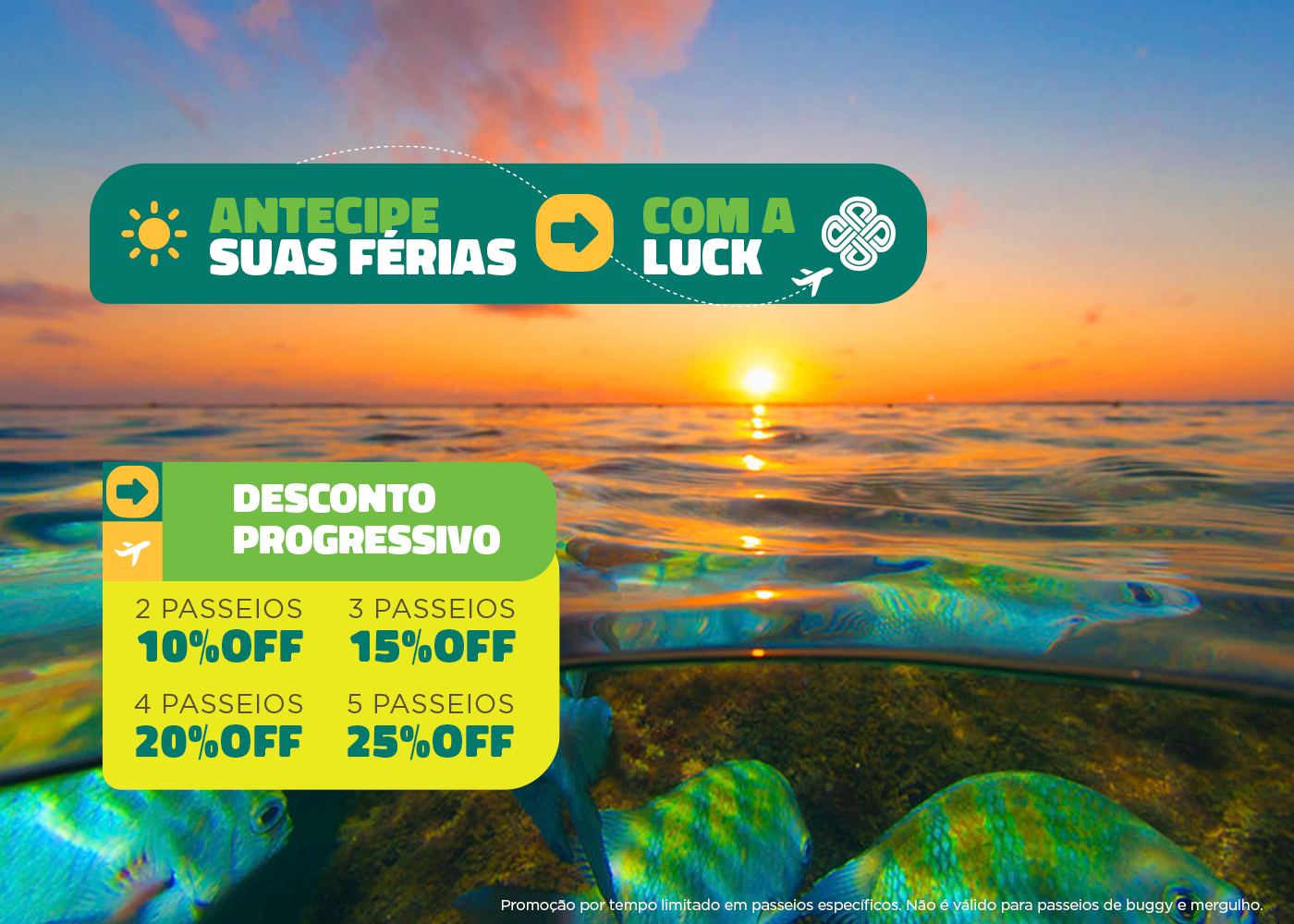 Banner promocional 1