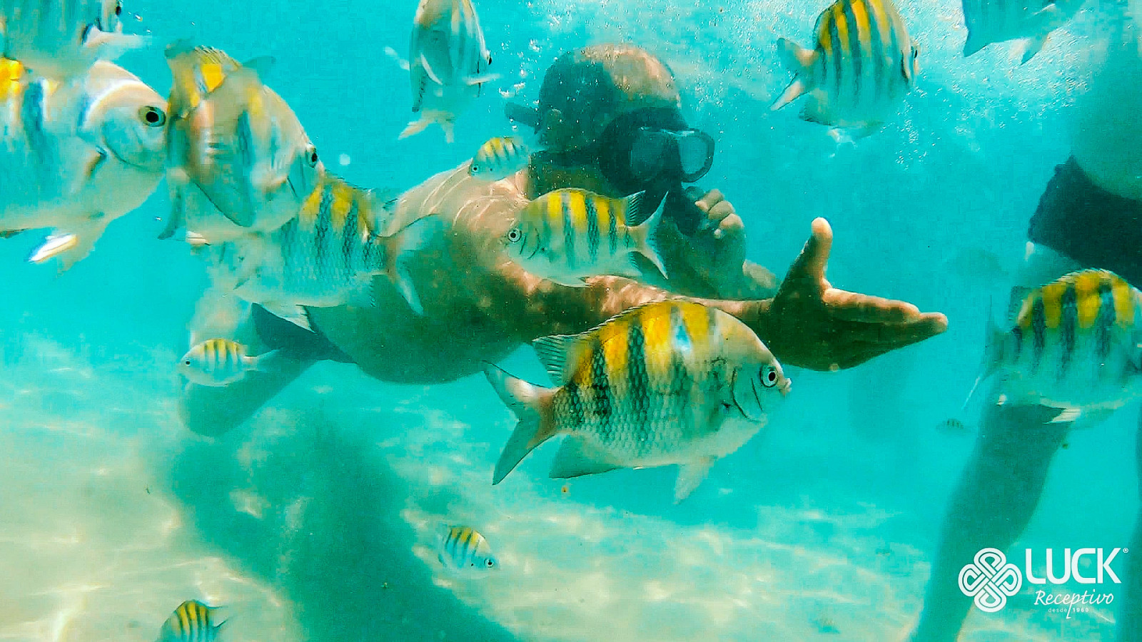 Combo Tour nas águas