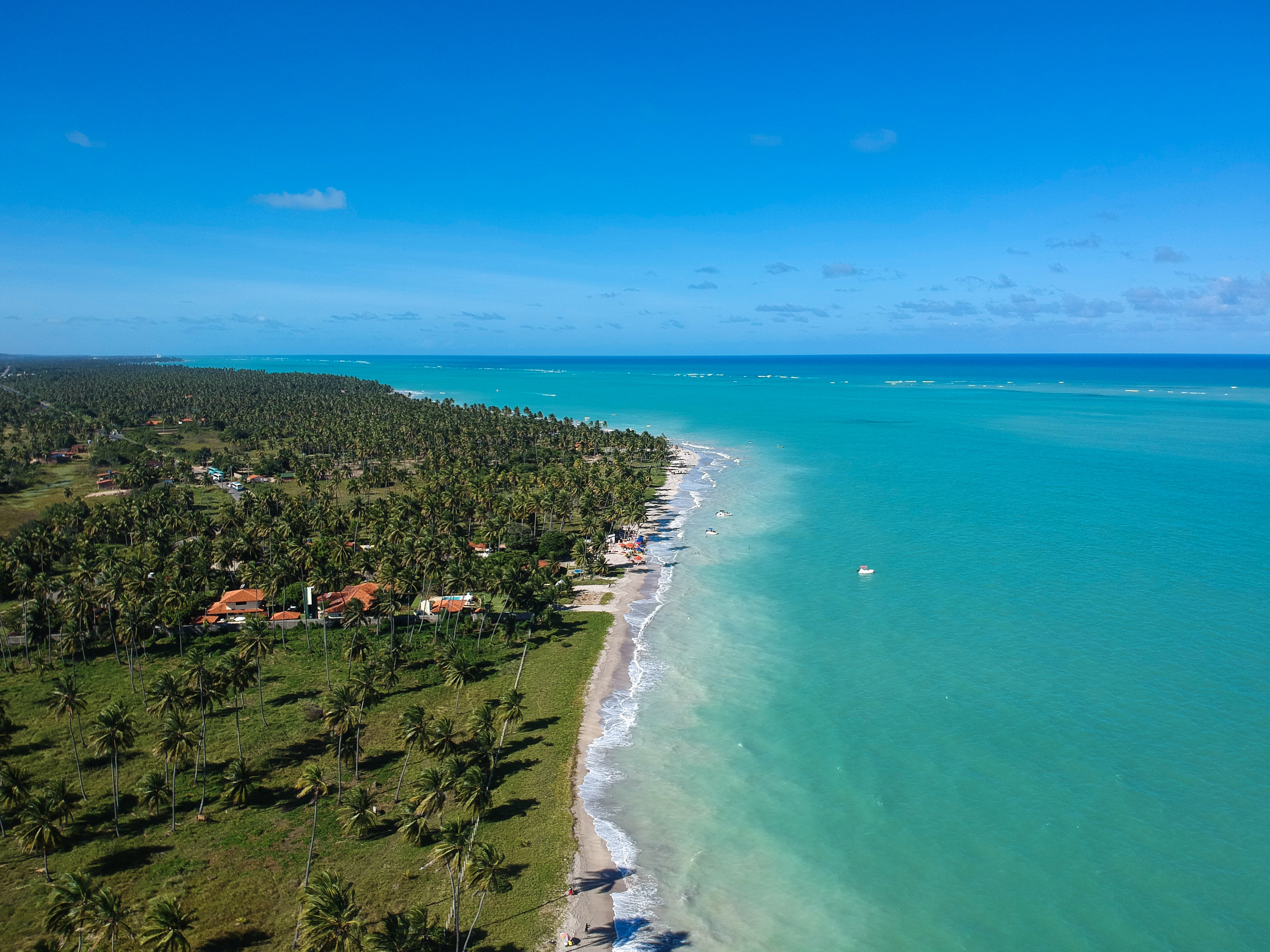 Passeio de Buggy Privativo em Maragogi - Litoral sul 