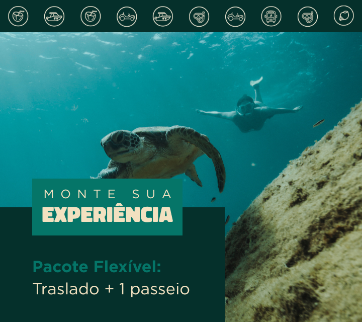 Pacote Flexível: Traslado Chegada e saída + 1 passeio a escolher