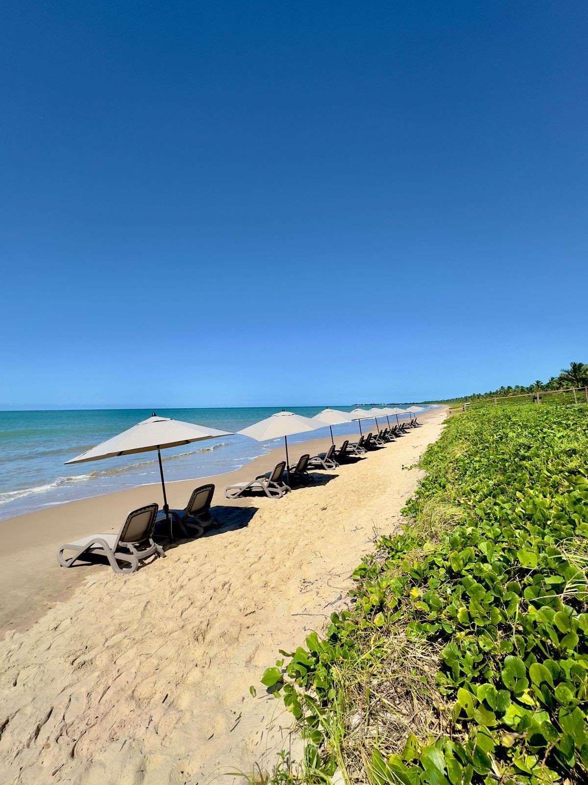 Praia do Carro Quebrado — Falésias e mar azul saindo de Maceió.
