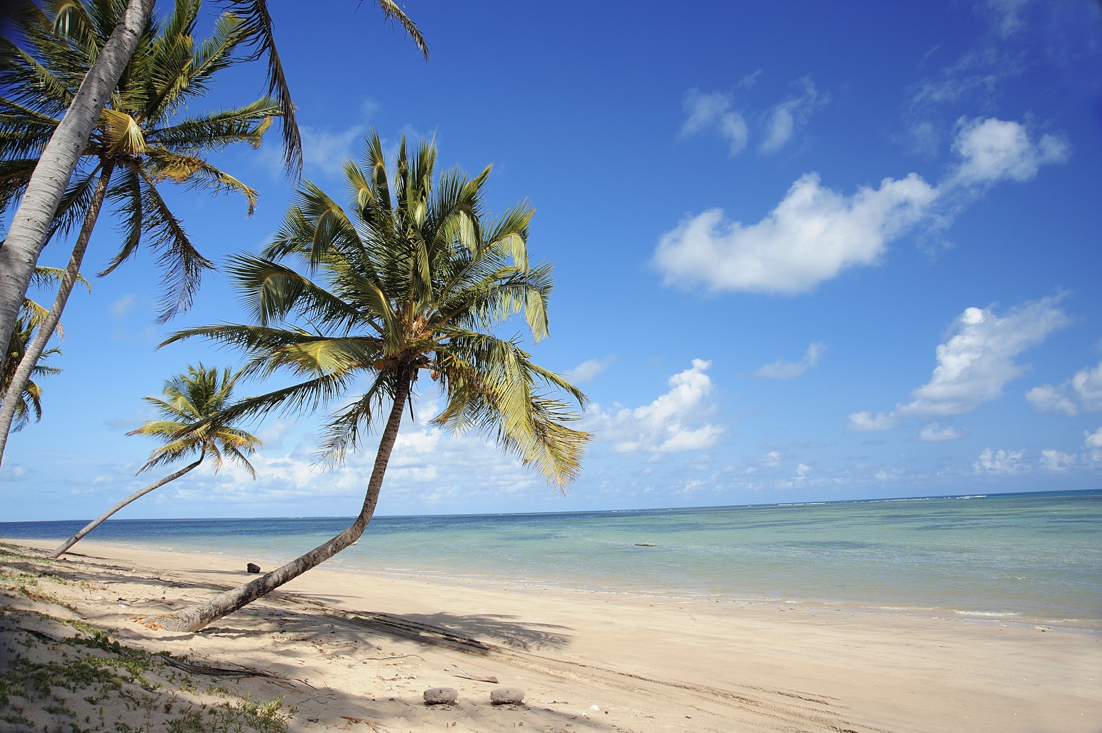 São Miguel dos Milagres