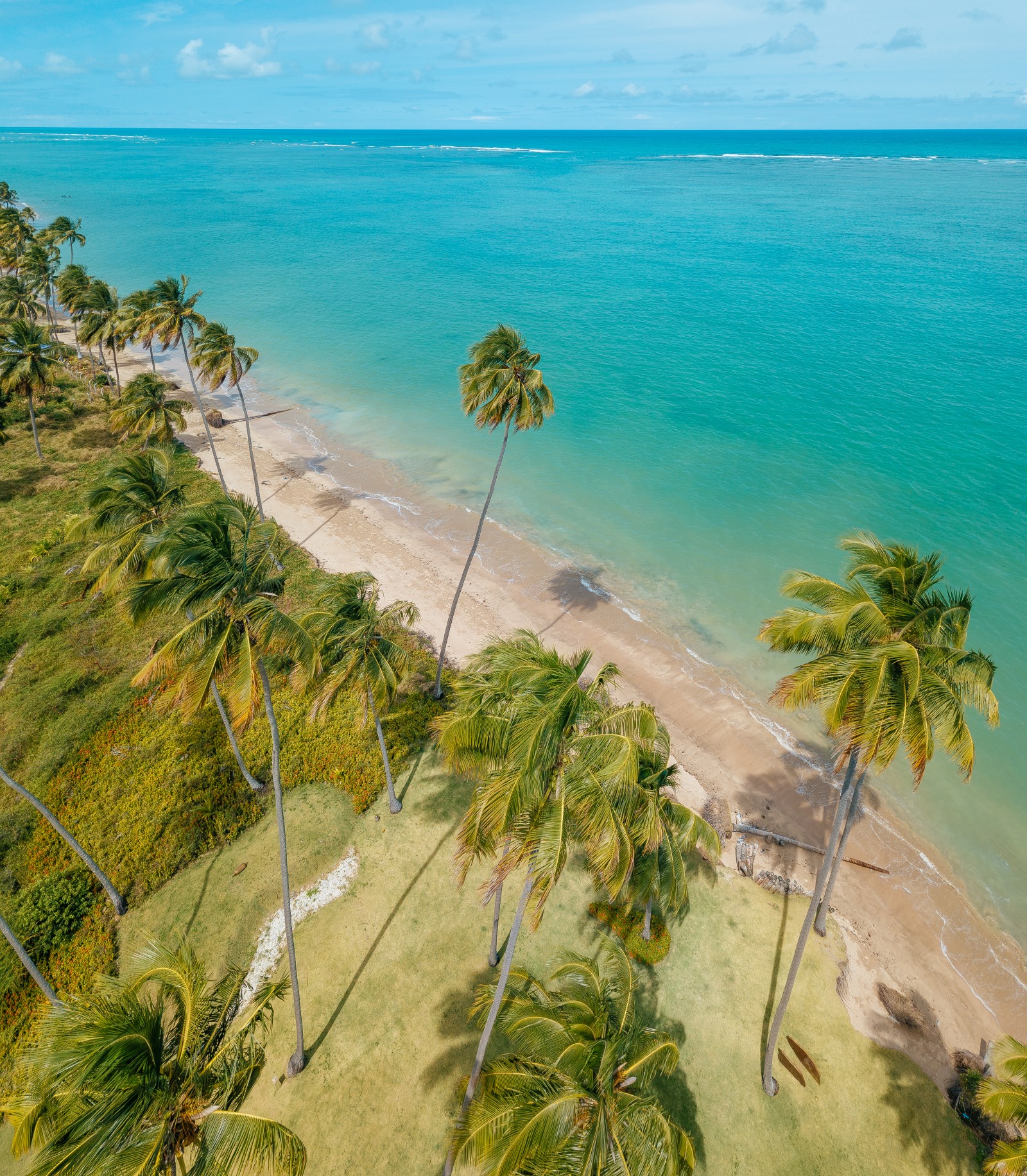 Praia do Patacho — Areias claras e mar cristalino saindo de Maceió