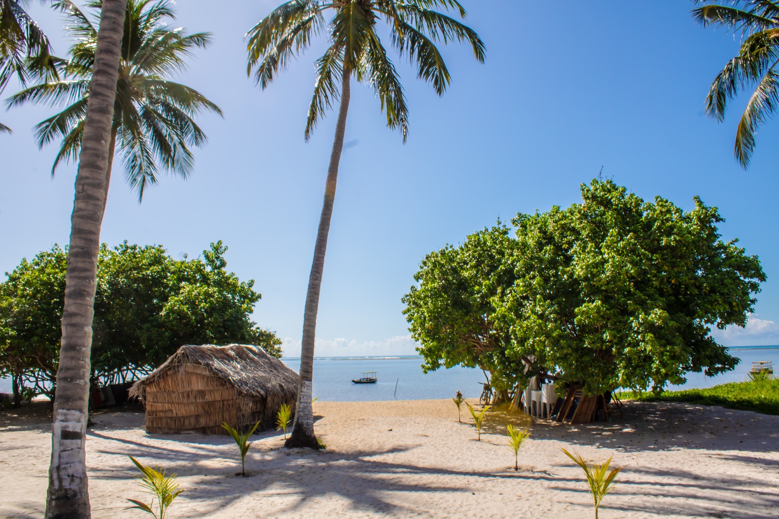 Praia do Patacho — Areias claras e mar cristalino saindo de Maceió