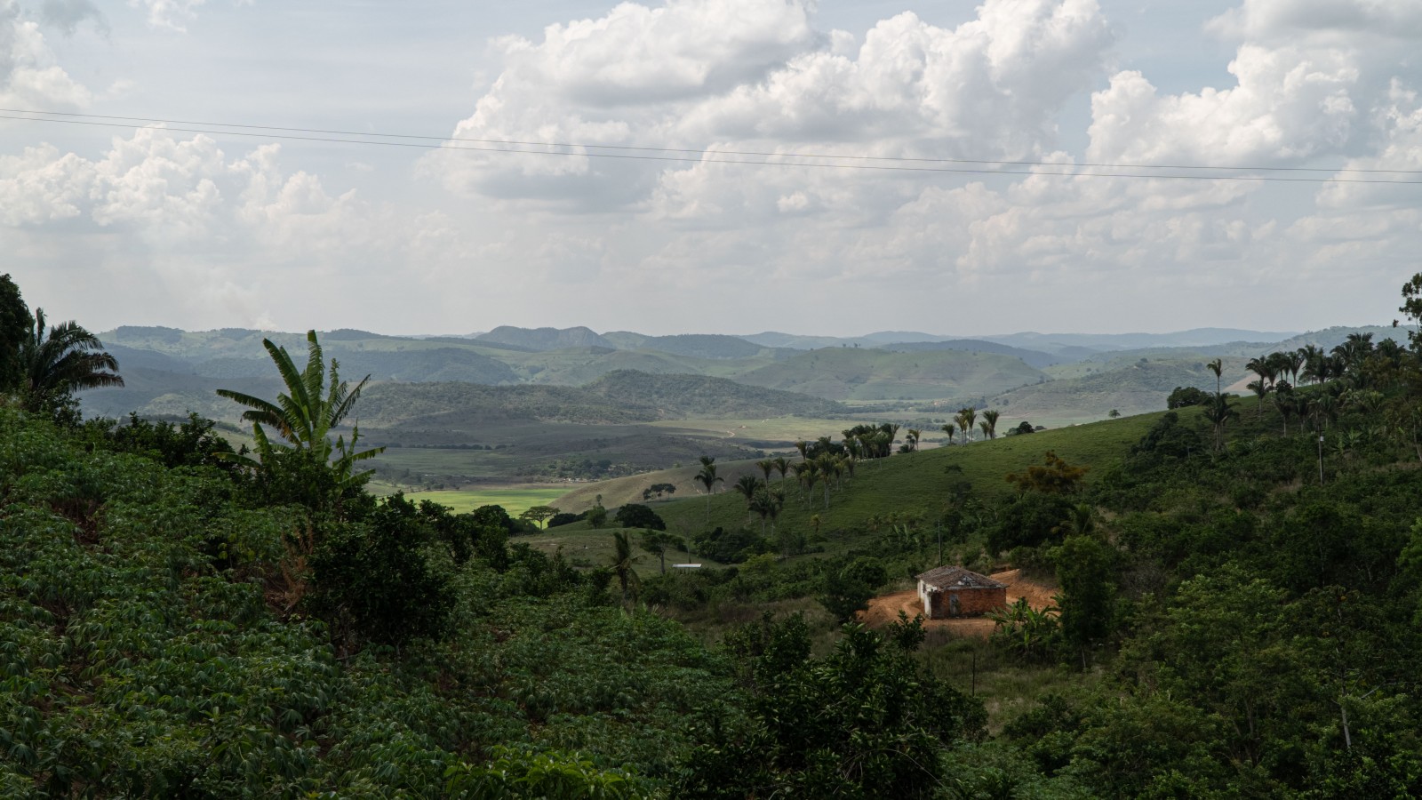 Quilombo dos Palmares — História e cultura afro-brasileira