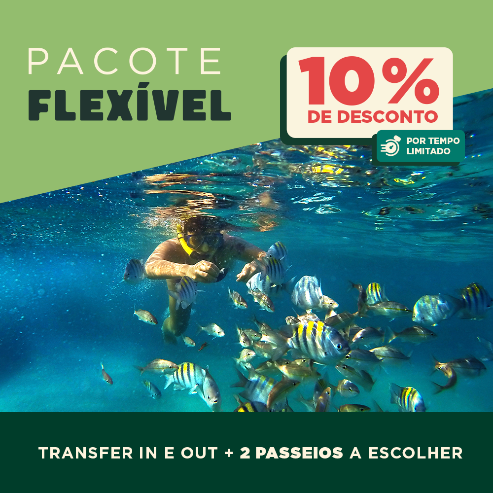 Pacote Flexível: Traslado Chegada e saída + 2 passeios a escolher
